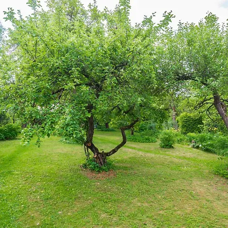 Apartman Kolm Venda Apartemendid