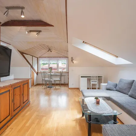 Penthouse With Rooftop Terrace Tartu