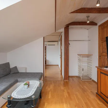 Penthouse With Rooftop Terrace Apartment Tartu