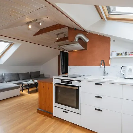 Apartment Penthouse With Rooftop Terrace Tartu