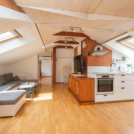 Penthouse With Rooftop Terrace Apartment *
